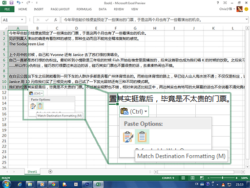paste in Excel